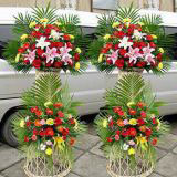 ŶʻԤ